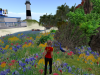 Flower Garden Particles Emitter 042410_006